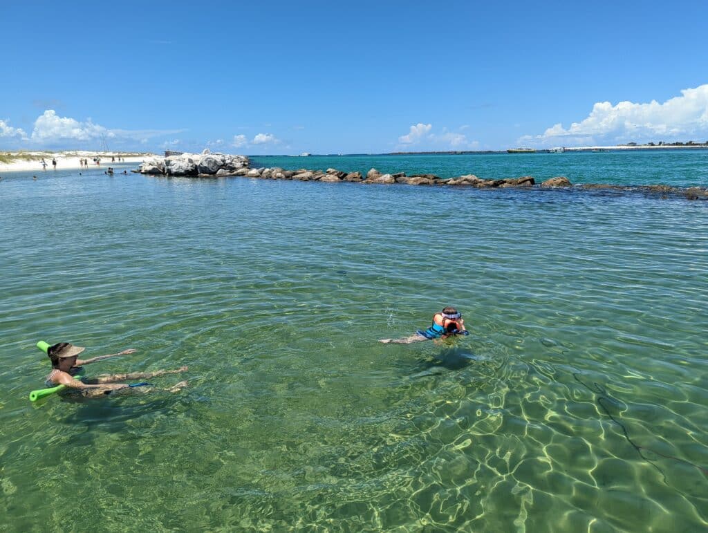 Flippin' Awesome Adventures Kid Friendly Boat Trips & Dolphin Tours in the Gulf of Mexico | Panama City Beach, Florida Dolphin Tours, Snorkeling Excursions, & Boat Trips led by Captain Chris, a marine biologist