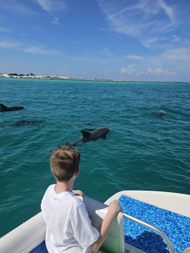 Watching Dolphins on a Panama city boat tour
