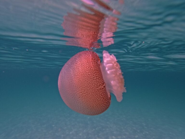 DCIM101GOPROGOPR5356.JPG