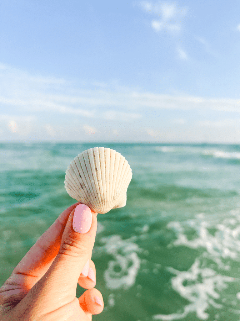 A hand holds a white scallop shell above turquoise waves, capturing shelling on Panama City Beach and Florida’s best Gulf Coast beaches.
