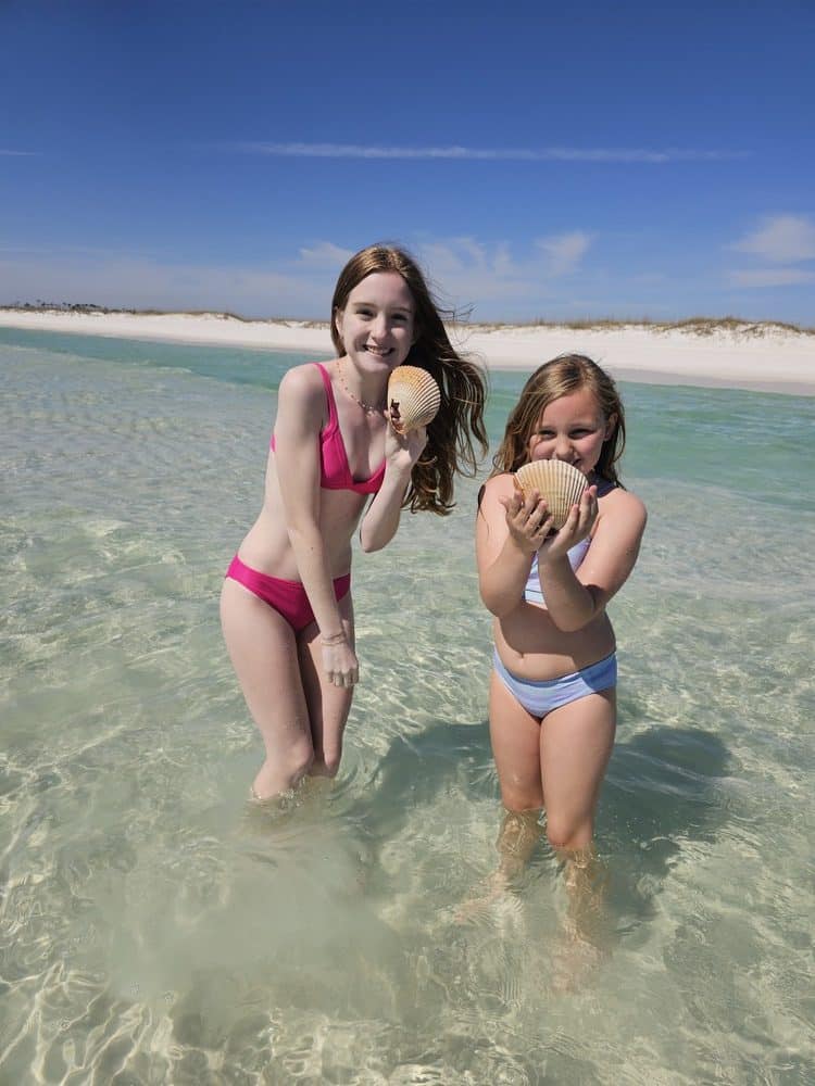 Finding Shells on Shell Island Panama City Beach Florida