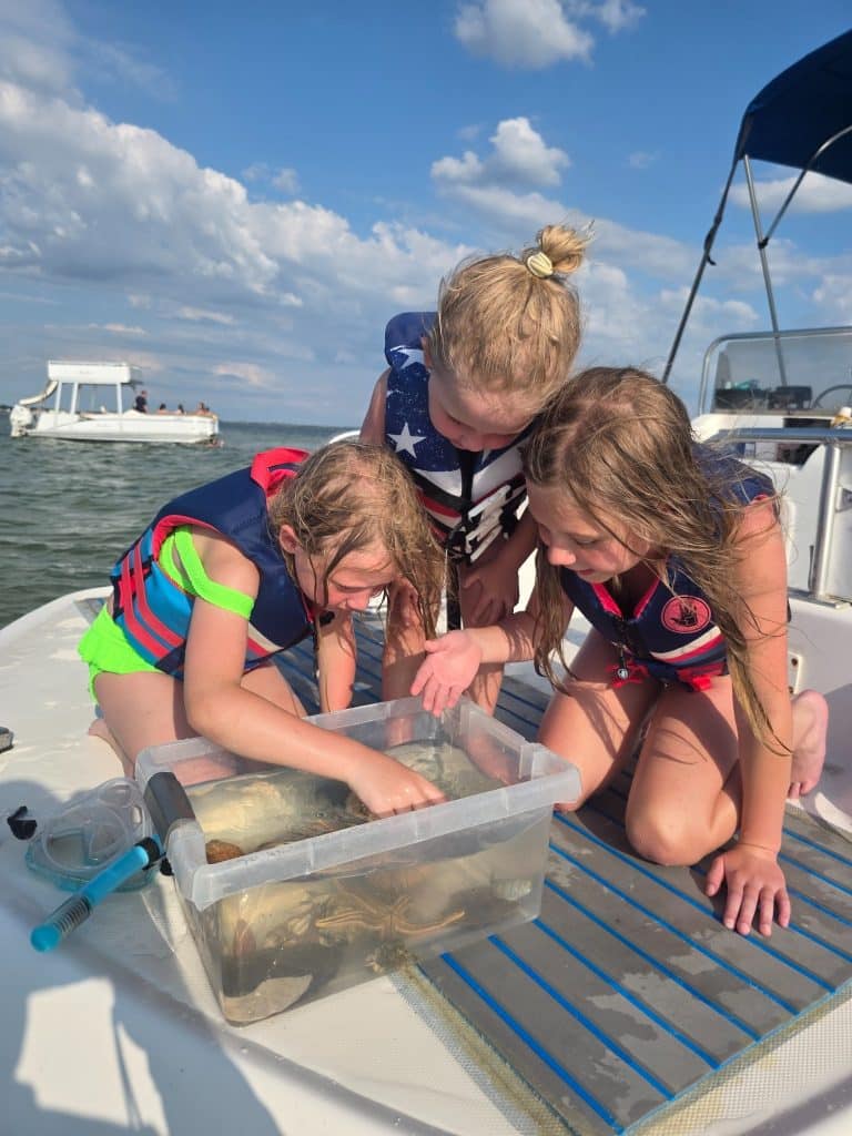 Children examining marine life in a touch tank during a shell island and dolphin excursion in panama city beach